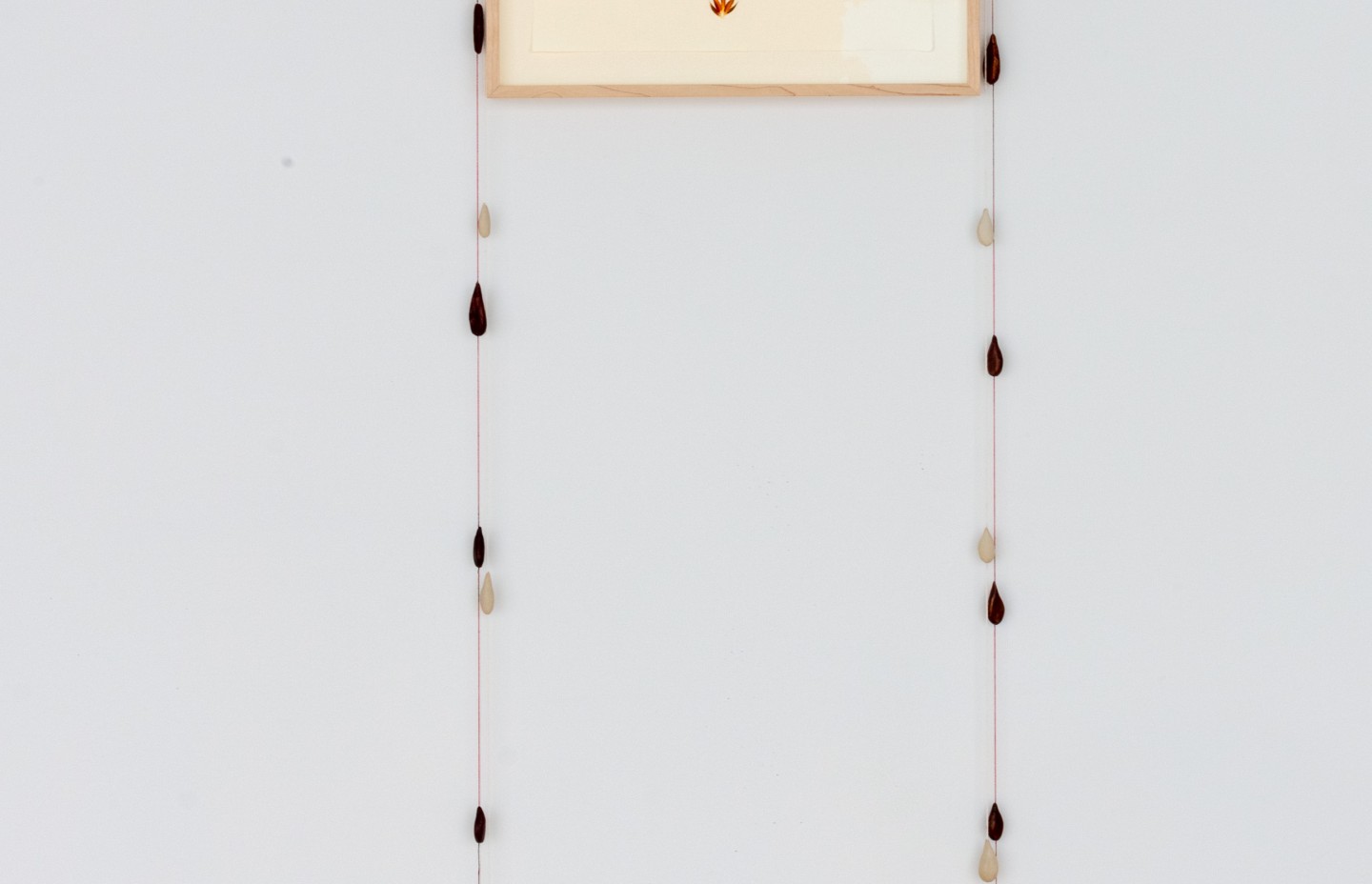 2019_holcova_wonnacott-00