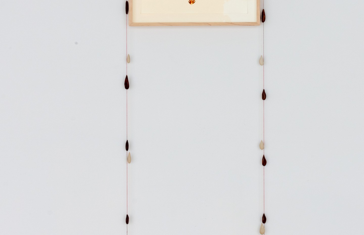 2019_holcova_wonnacott-00