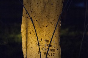 mg_0333