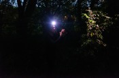 une&#x20;personne&#x20;dans&#x20;la&#x20;for&#xEA;t,&#x20;le&#x20;soir,&#x20;avec&#x20;une&#x20;lampe&#x20;fontale&#x20;sur&#x20;la&#x20;t&#xEA;te.