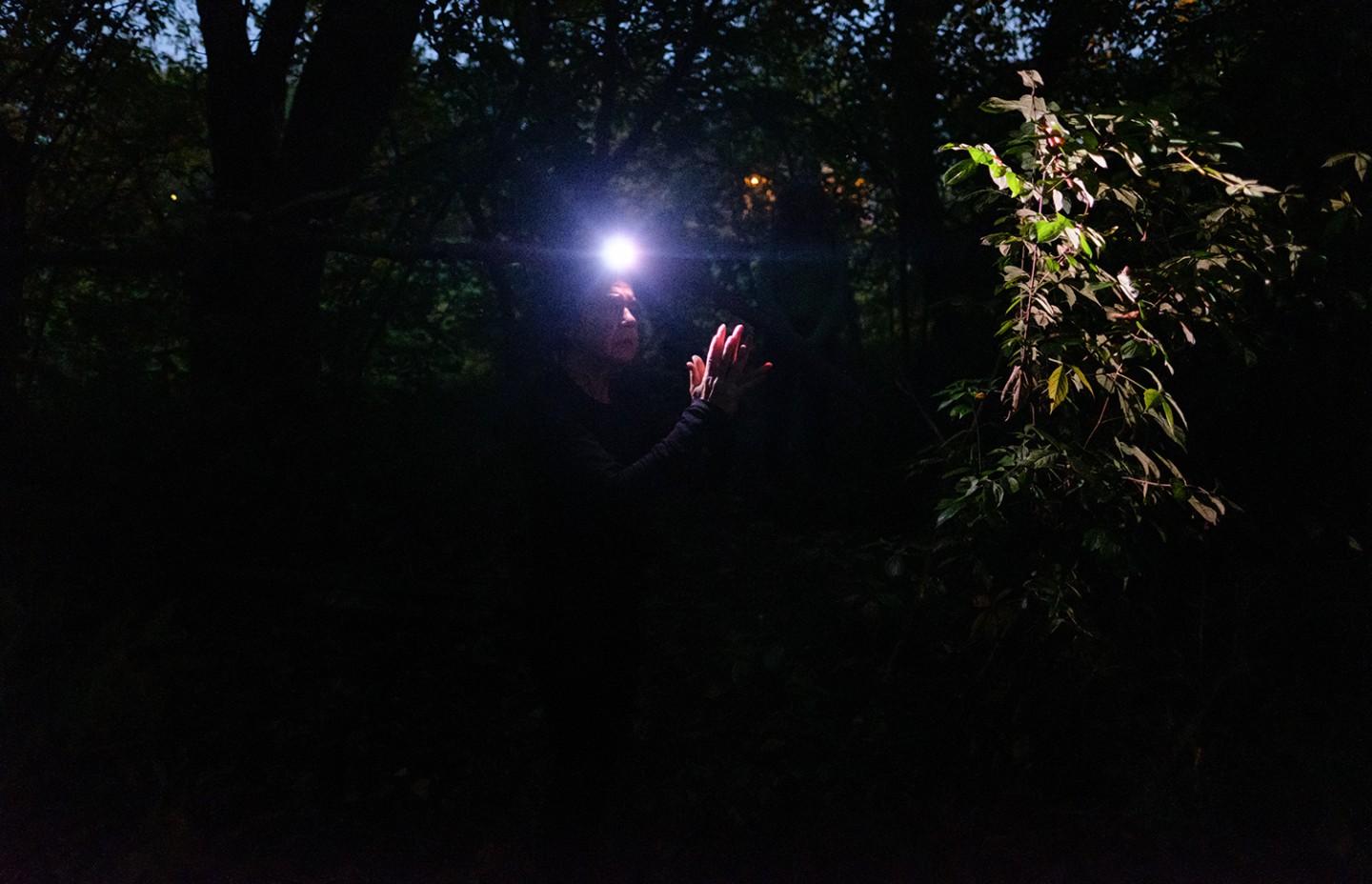 une personne dans la forêt, le soir, avec une lampe fontale sur la tête.