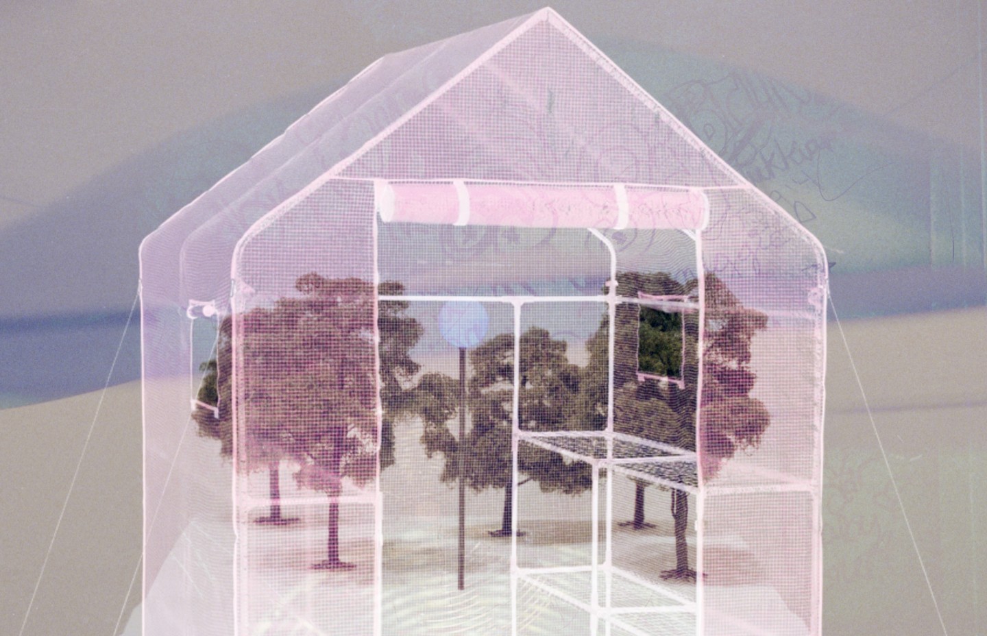 cscenna_frostflowers-genzkenhaacke