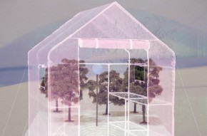 cscenna_frostflowers-genzkenhaacke