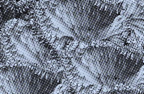 image-prog-hiver-2026