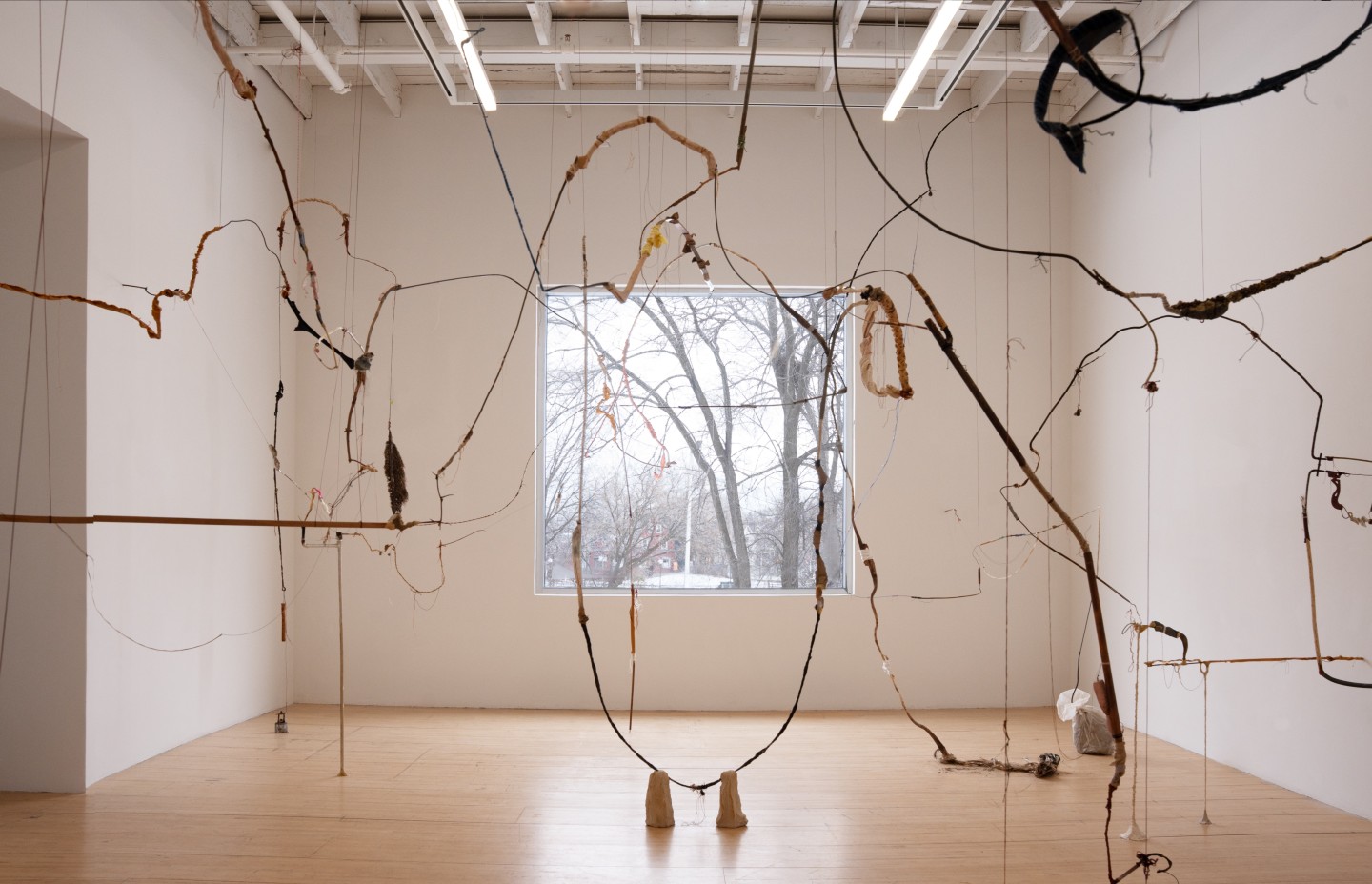 maude-ares-le-ver-2026