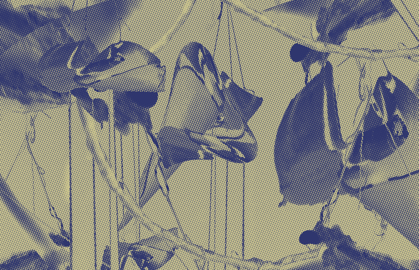 visuel_performance5-maude-ares_micro-concert4