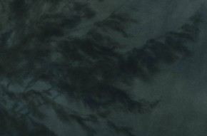 agodin_option2